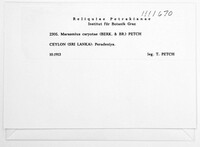 Image Associated With the Occurrence